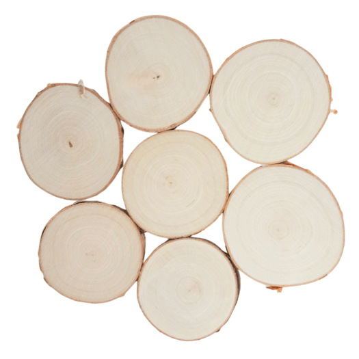 birch wood circles from Perm Russia for catholic faith formation retreat craft activity prayer piece memento painting prayers and sunsets